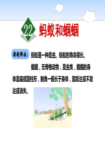 《蚂蚁和蝈蝈》PPT7