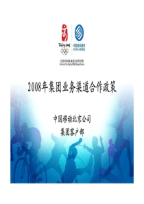 2008年集团业务渠道合作政策