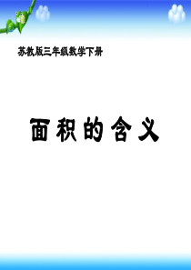 《面积的含义》长方形和正方形的面积PPT课件