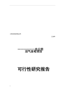 沼气发电项目可行性报告