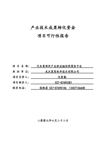 88果转化资金项目可行性报告_武汉莱恩