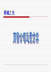 商业经营管理公司运营方案