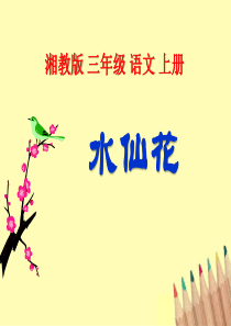 《水仙花》PPT课件9