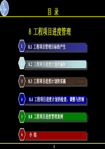 8工程项目进度管理