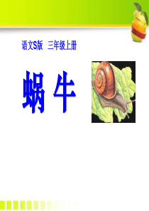 《蜗牛》PPT课件