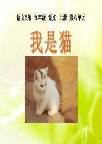 《我是猫》PPT课件7