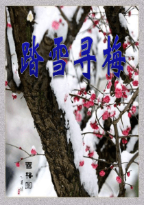 《踏雪寻梅》PPT课件9