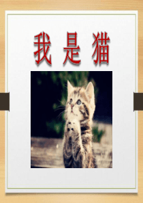 《我是猫》PPT课件6