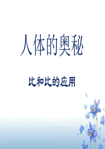 《人体的奥秘》PPT课件