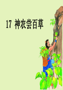 《神农尝百草》PPT课件7