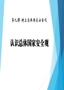 《认识总体国家安全观》PPT课件