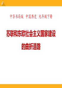 《苏联和东欧社会主义国家建设的曲折道路》两极格局下的世界PPT课件