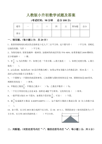 人教版小升初数学试题及答案