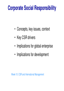 csr(国际商务PPT1)