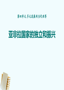 《亚非拉国家的独立和振兴》多元发展的当代世界PPT课件88