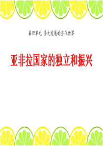 《亚非拉国家的独立和振兴》多元发展的当代世界PPT课件