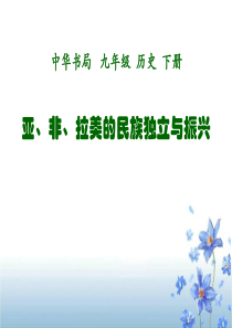 《亚、非、拉美的民族独立与振兴》两极格局下的世界PPT课件9