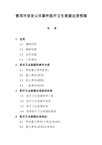 普洱市突发公共事件医疗卫生救援应急预案