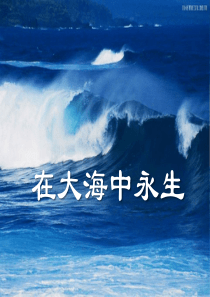 《在大海中永生》PPT课件