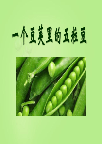 《一个豆荚里的五粒豆》PPT课件5