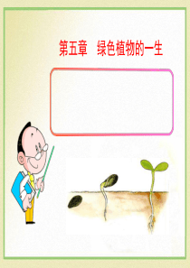 《植物种子的萌发》PPT