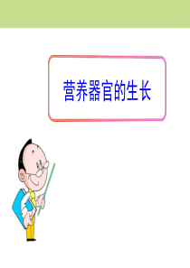 《营养器官的生长》PPT