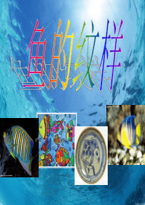 《鱼的纹样》PPT课件