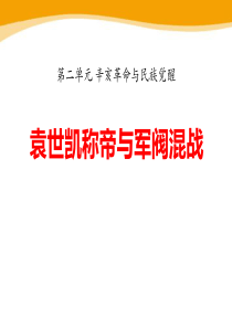 《袁世凯称帝与军阀混战》辛亥革命与民族觉醒PPT课件9