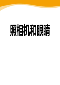 《照相机和眼睛》PPT