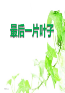 《最后一片叶子》PPT课件