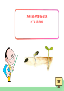 《种子萌发形成幼苗》PPT课件