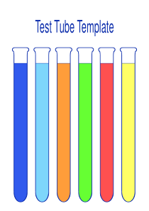 试管模板