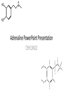肾上腺素分子PPT模板