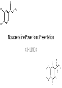 去甲肾上腺素分子PPT模板