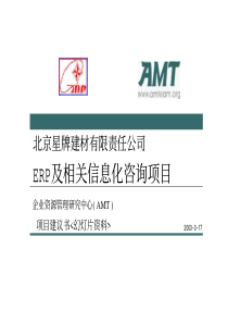 AMT星牌建材项目建议书