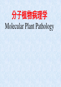 分子植物病理学