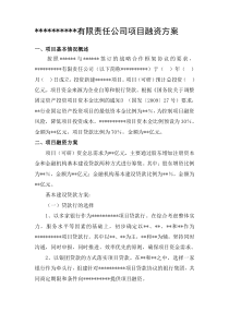 公司项目融资方案