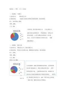 公司股权结构设计.doc