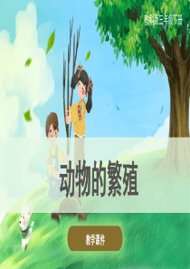 教科版小学三年级科学下册-《动物的繁殖》原创课件