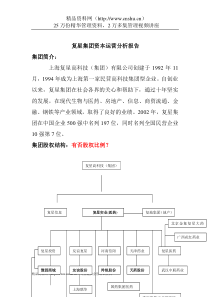 复星集团资本运营分析报告1