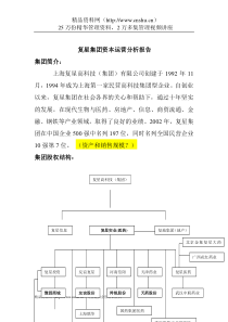 复星集团资本运营分析报告2