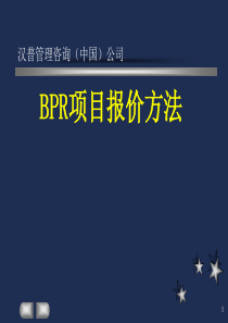 BPR项目报价方法