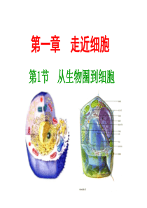 人教版高中生物必修一全套课件