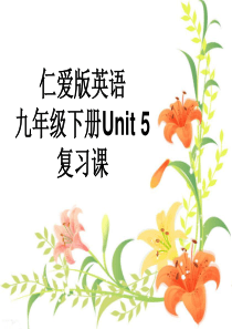 仁爱版九年级英语下册Unit-5复习课课件