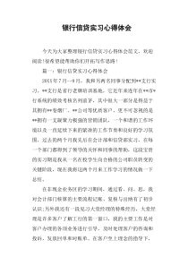 (完整版)银行信贷实习心得体会