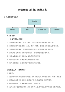 天猫商城最新高级运营方案（DOC8页）