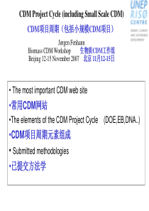 CDM项目周期，小型CDM项目-Folie1