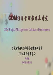 CDM项目管理数据库开发