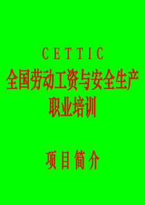 CETTIC 项目介绍