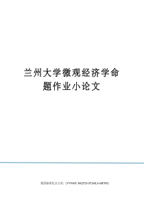 兰州大学微观经济学命题作业小论文完整版